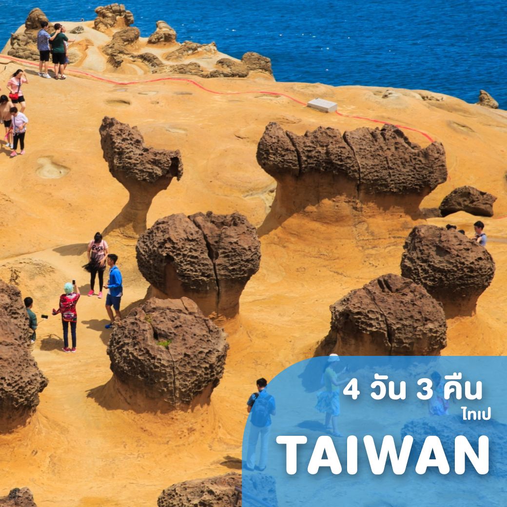 ทัวร์ไต้หวัน TAIWAN TIGER 4 วัน 3 คืน IT ( FOMS )