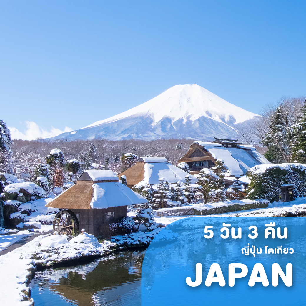 ทัวร์ญี่ปุ่น TOKYO FUJI NIKKO ซุปตาร์ ซามูไร AUTUMN 5 วัน 3 คืน XJ ( TTNT )