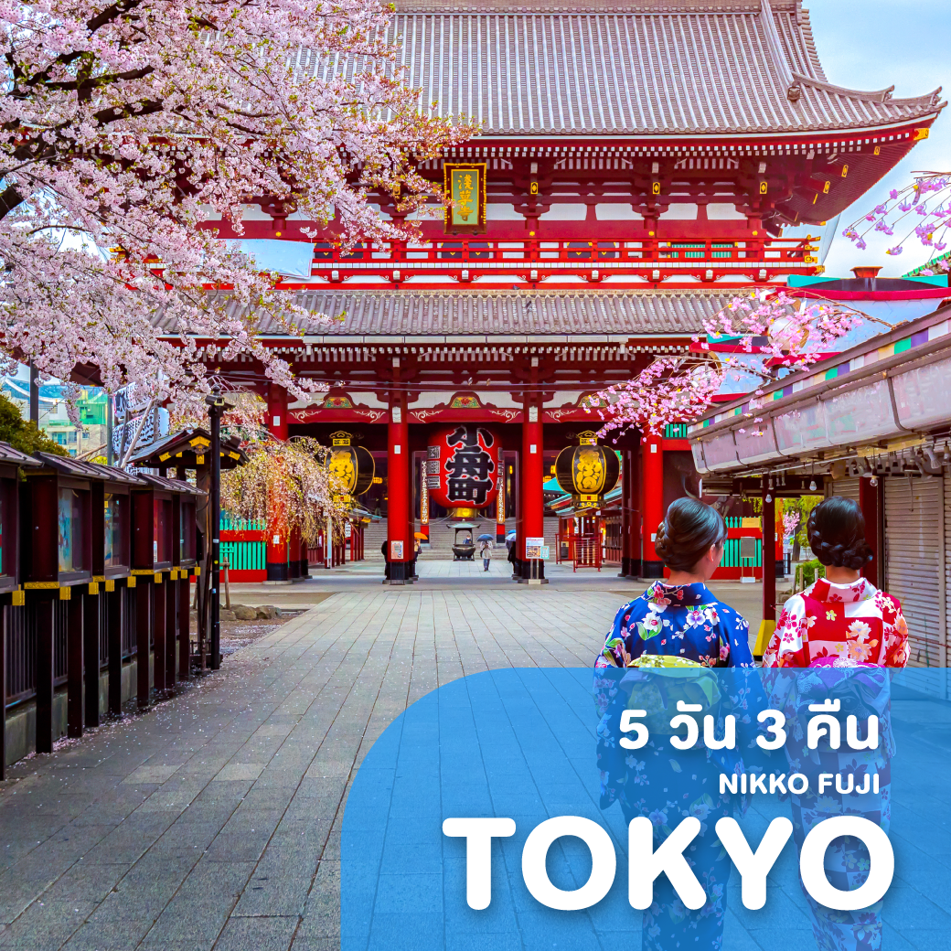 ทัวร์ญี่ปุ่น TOKYO NIKKO FUJI ซุปตาร์ ซามูไร หวานเย็น 5 วัน 3 คืน TR ( TTNT )