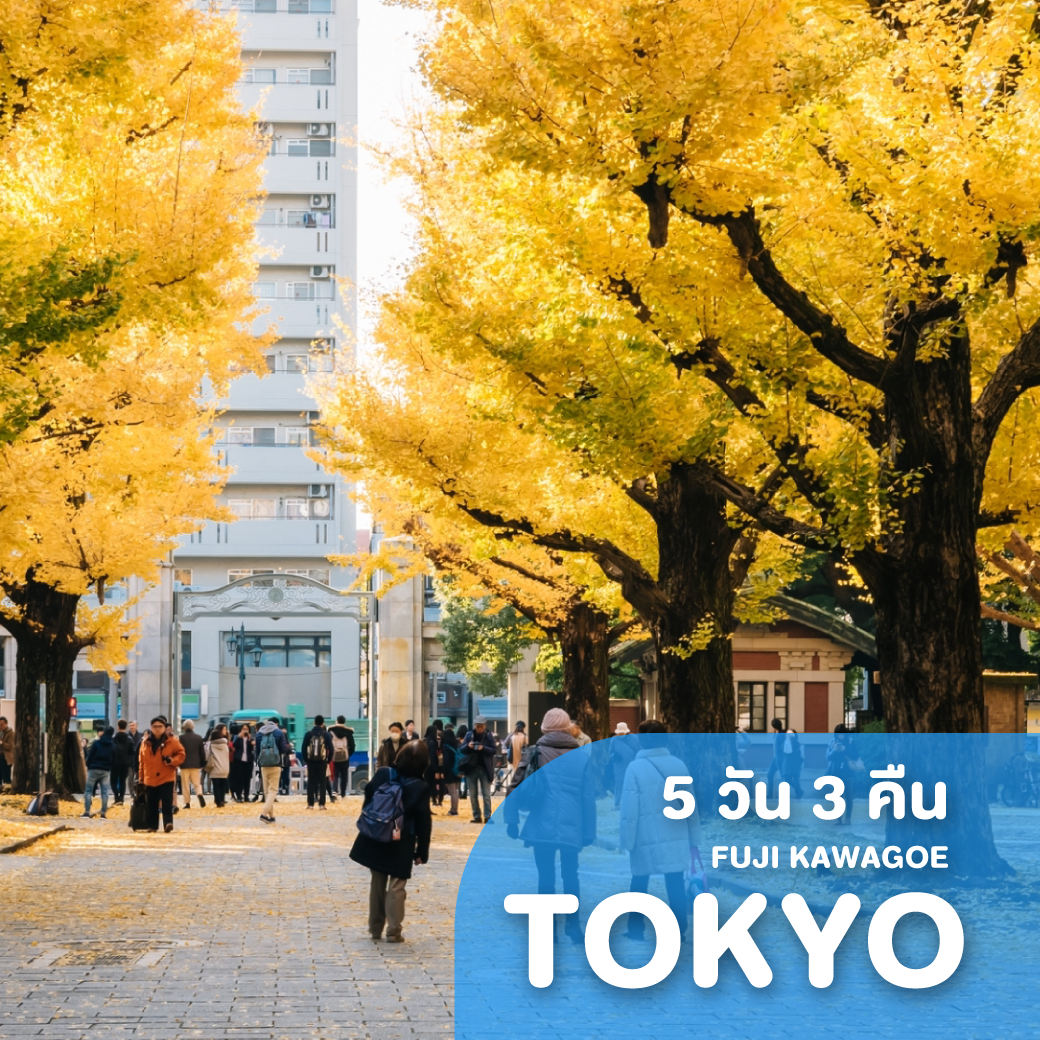 ทัวร์ญี่ปุ่น TOKYO FUJI KAWAGOE ซุปตาร์ อุโมงค์เมเปิ้ล 5 วัน 3 คืน XJ ( TTNT )