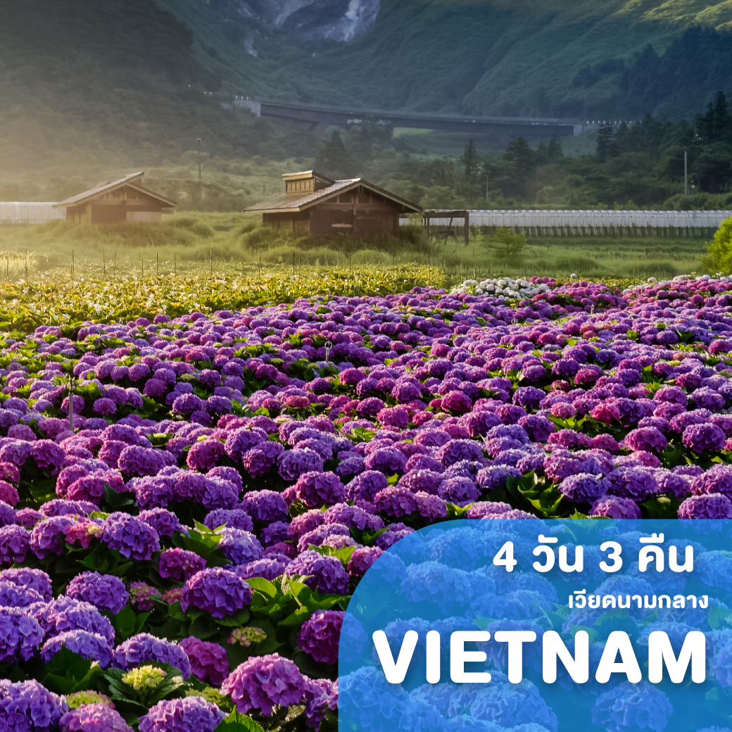 ทัวร์เวียดนาม เวียดนามกลาง ดานัง ฮอยอัน บานาฮิลส์