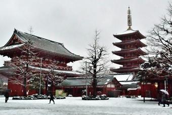 ทัวร์ญี่ปุ่น โตเกียว TOKYO สกีหน้าหนาว Free day 5วัน3คืน