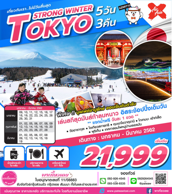 ญี่ปุ่น TOKYO STRONG WINTER 5วัน 3คืน