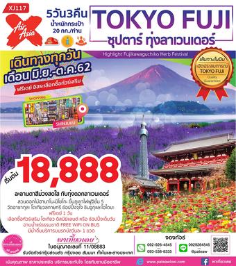 ญี่ปุ่น TOKYO FUJI ซุปตาร์ ทุ่งลาเวนเดอร์ 5วัน 3คืน
