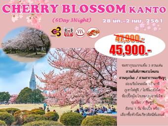 CHERRY BLOSSOM KANTO 6D3N