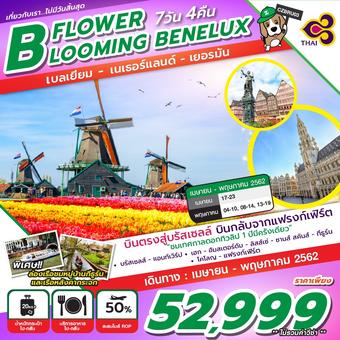 FLOWER BLOOMING BENELUX 7D4N