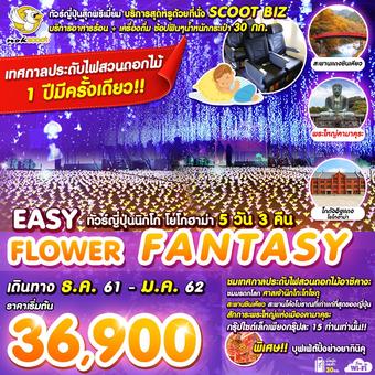 EASY ญี่ปุ่น นิกโก โยโกฮาม่า 5 วัน 3 คืน (SCOOTBIZ)