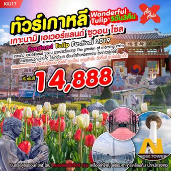 เกาหลี Wonderful Tulip 6D3N