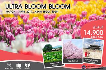 ULTRA BLOOM BLOOM 5D3N
