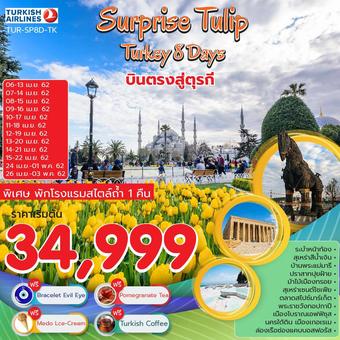 SURPRISE TULIP TRUKEY 8วัน 5คืน