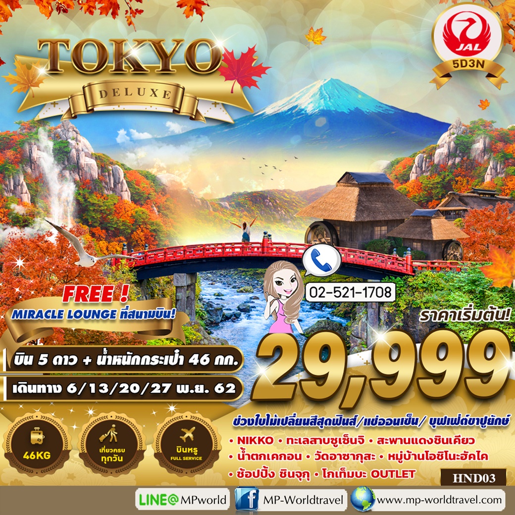 ทัวร์ญี่ปุ่น HND03 JL TOKYO DELUXE NOV 19 5D 3N JL